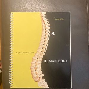 A brief atlas of the human body-spiral bound by Matt Hutchinson 2nd edition